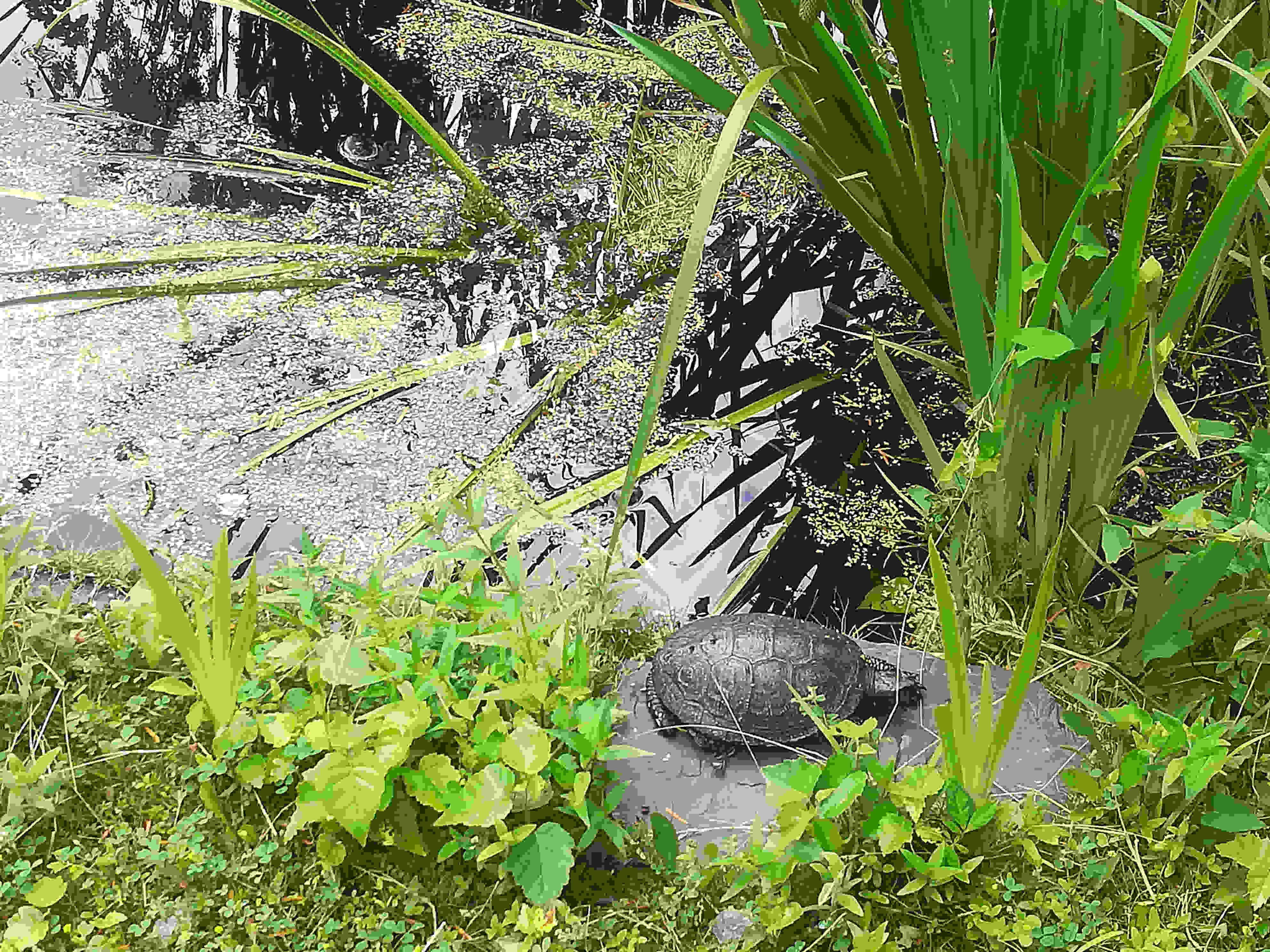 Bild Wildpark Markkleeberg 
