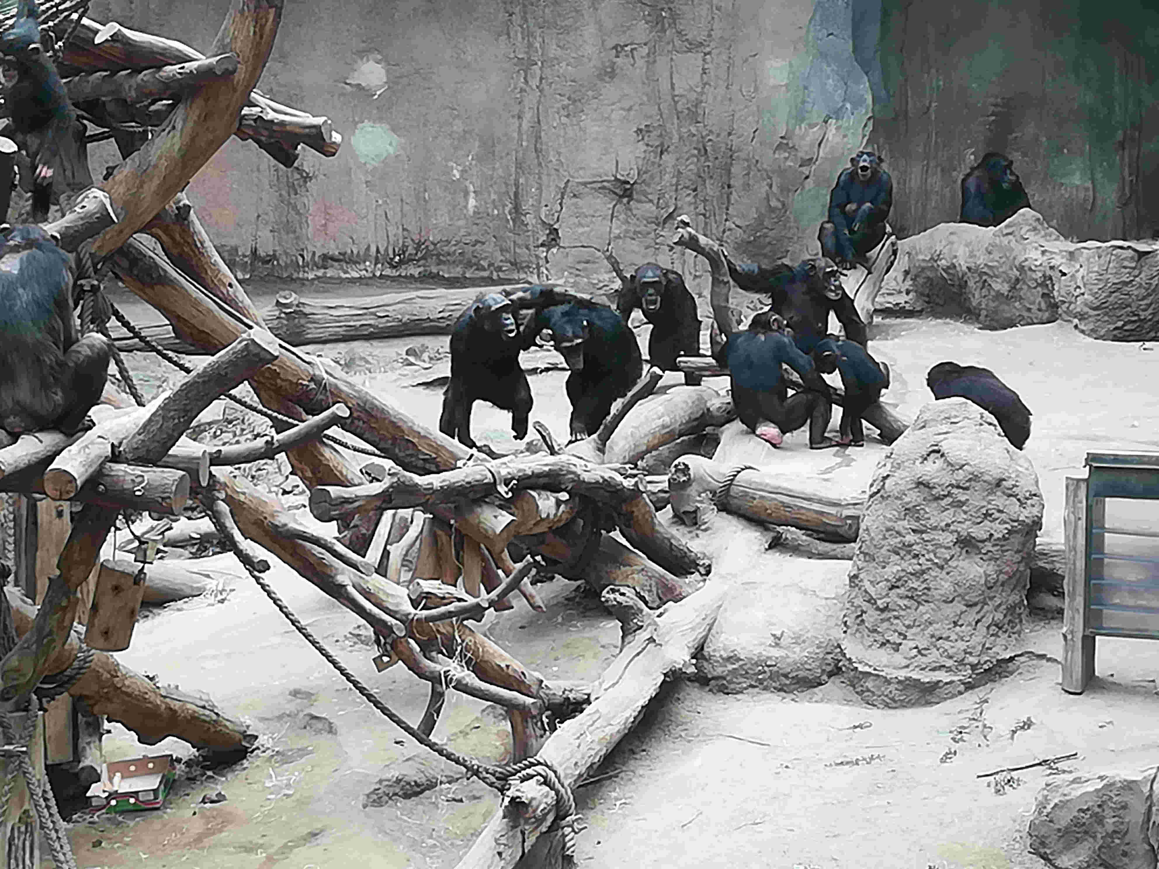 Bild Zoo Leipzig 