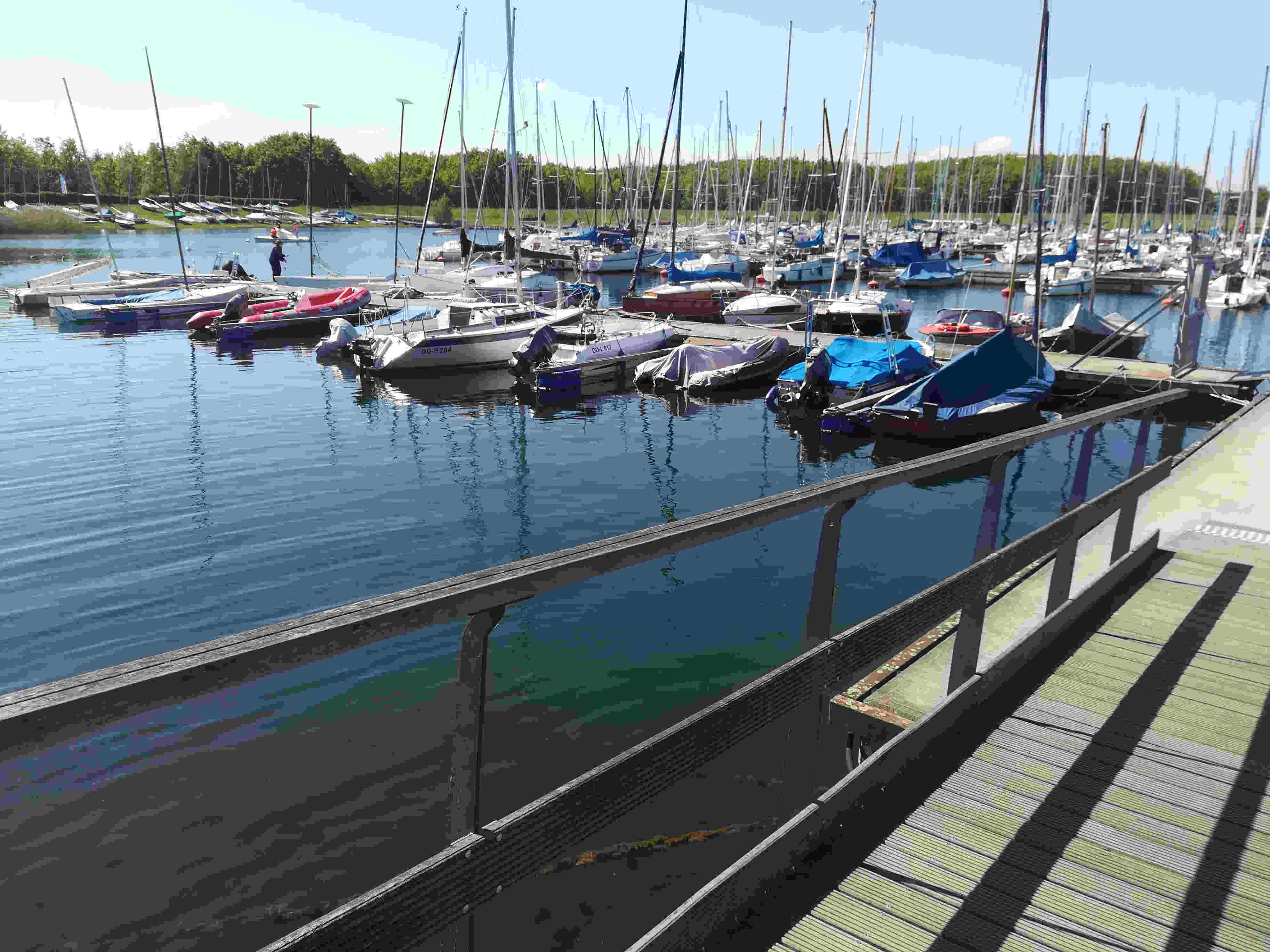 Bild Hafen Cospudener See